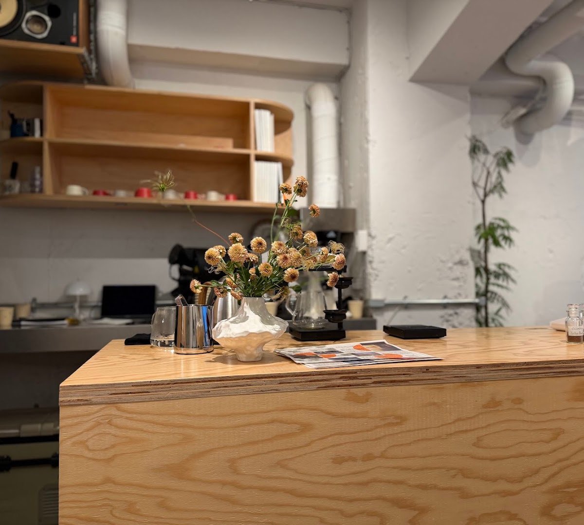 Interior of Sedai Coffee and Roasters, specialty coffee shop in Tokyo