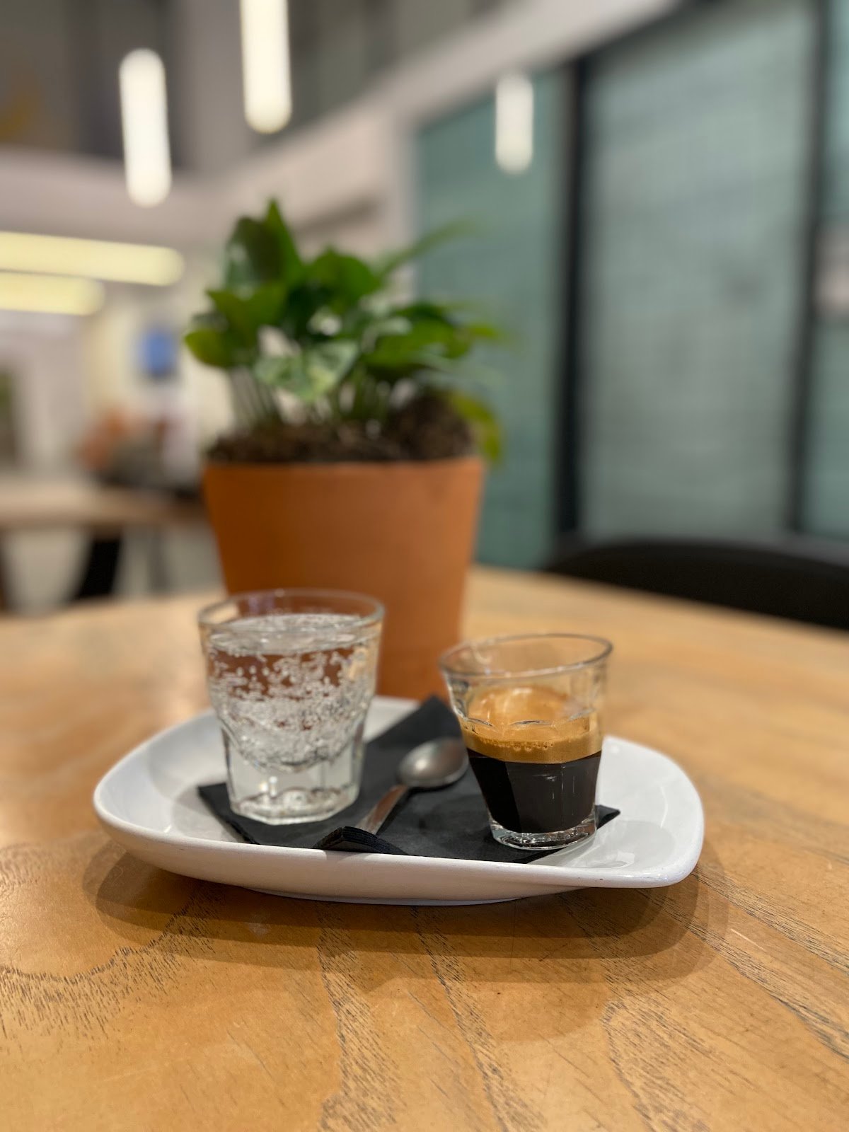 Cartel Roasting Co. specialty coffee shop in Phoenix - photo 2