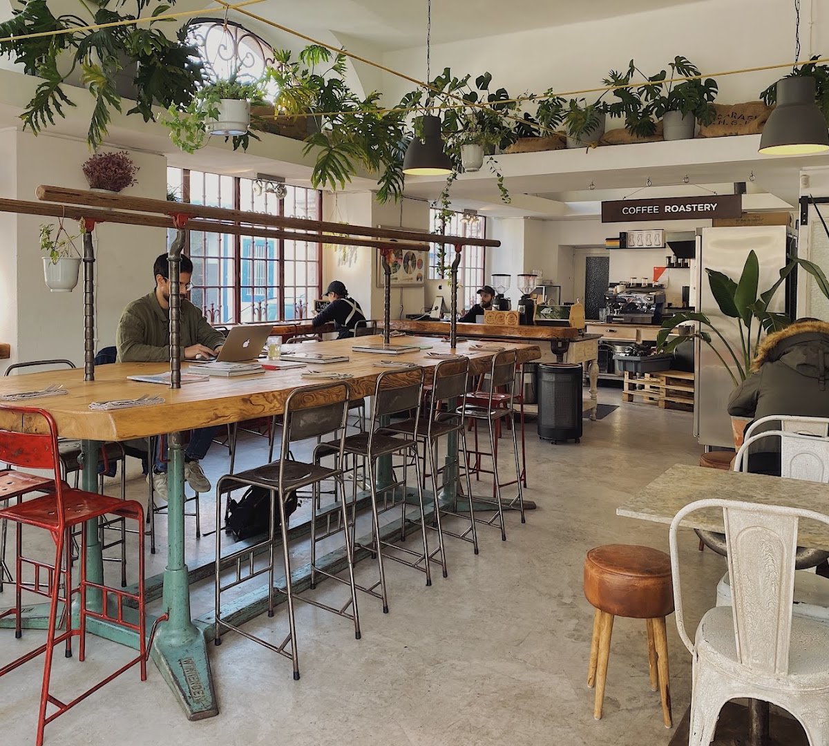 Interior of The Royal Rawness, specialty coffee shop in Lisbon