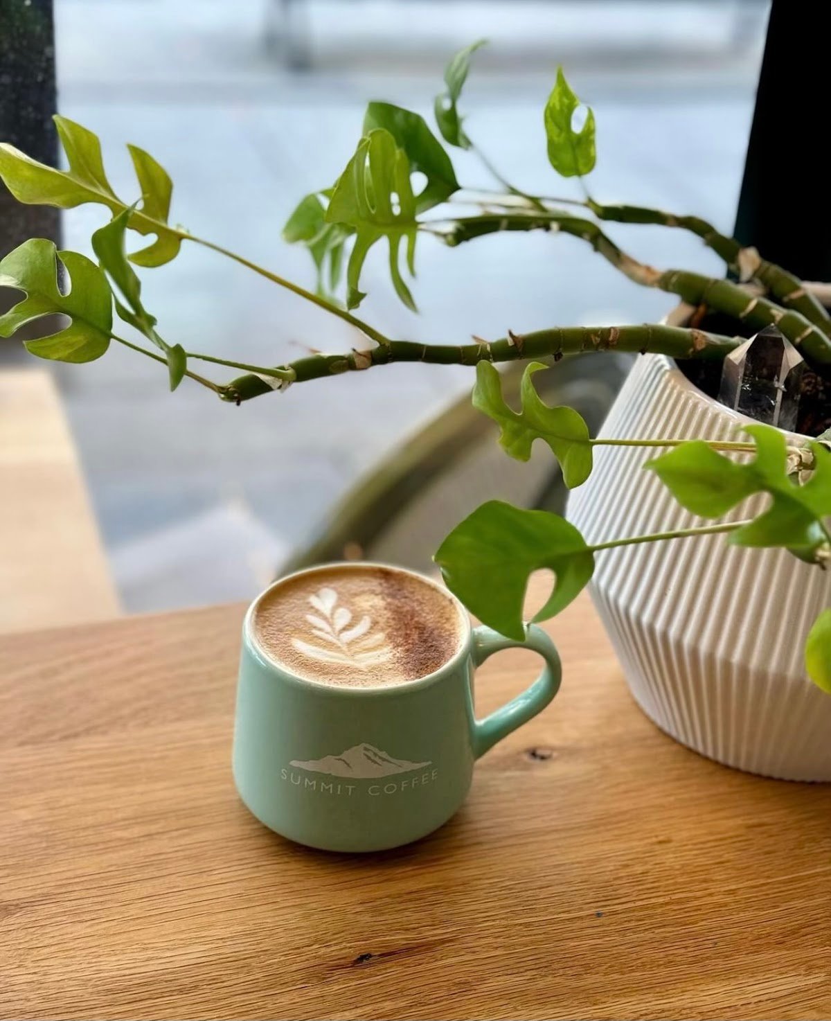 Summit Coffee Grove Arcade specialty coffee shop in Asheville - photo 2