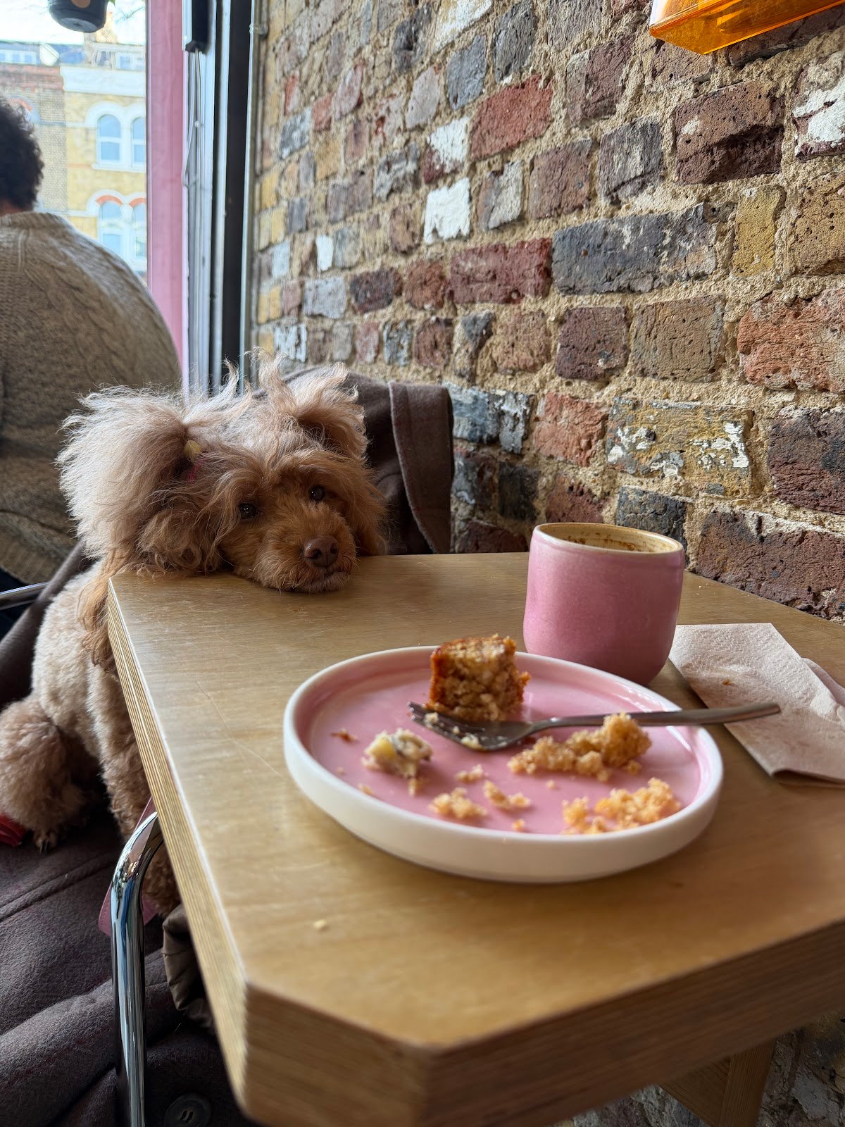 Urban Botanica specialty coffee shop in London - photo 2