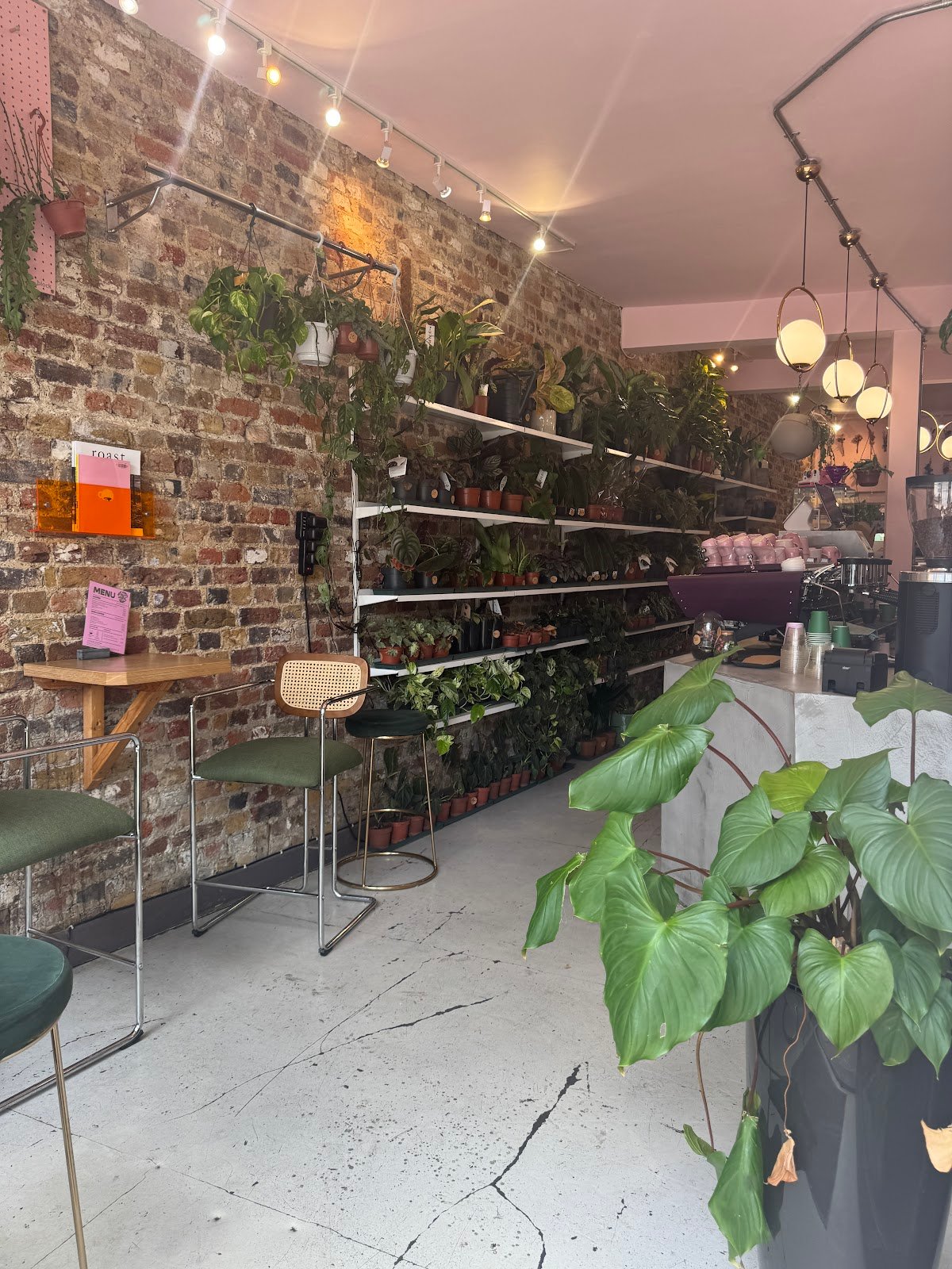 Urban Botanica specialty coffee shop in London - photo 3
