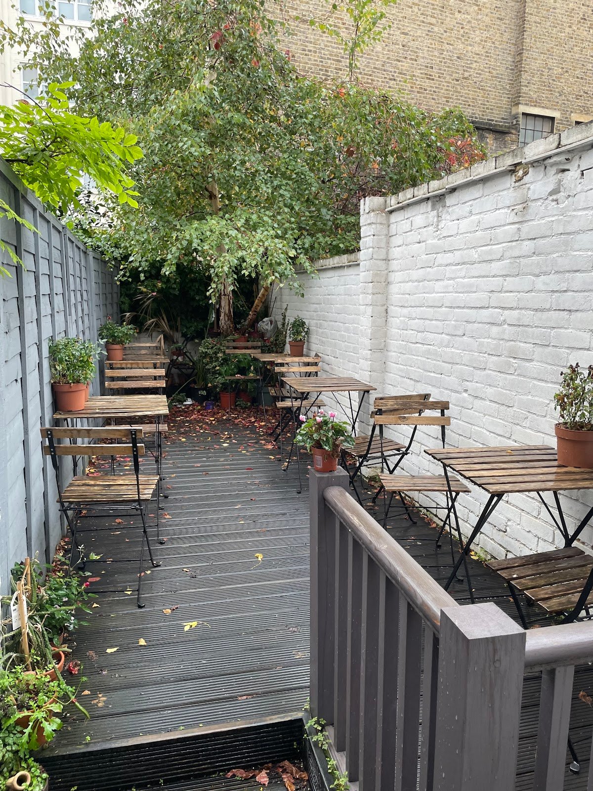 Urban Botanica specialty coffee shop in London - photo 5