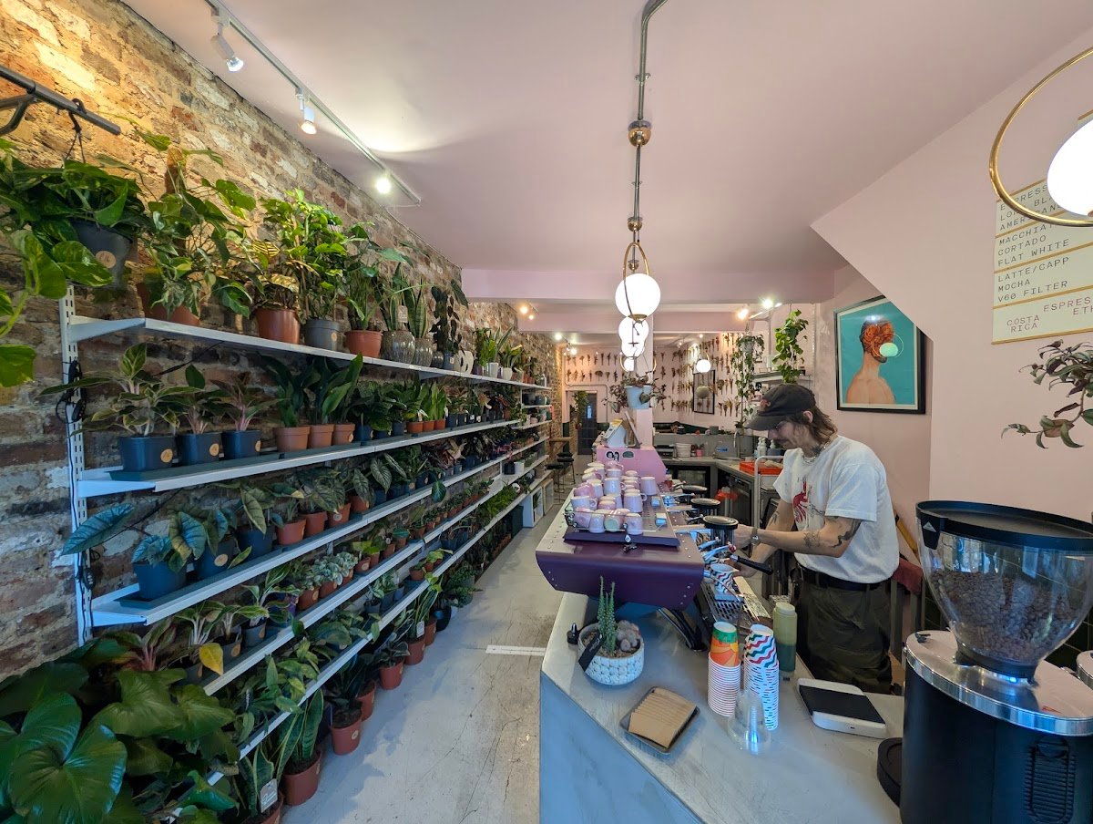 Urban Botanica specialty coffee shop in London - photo 6