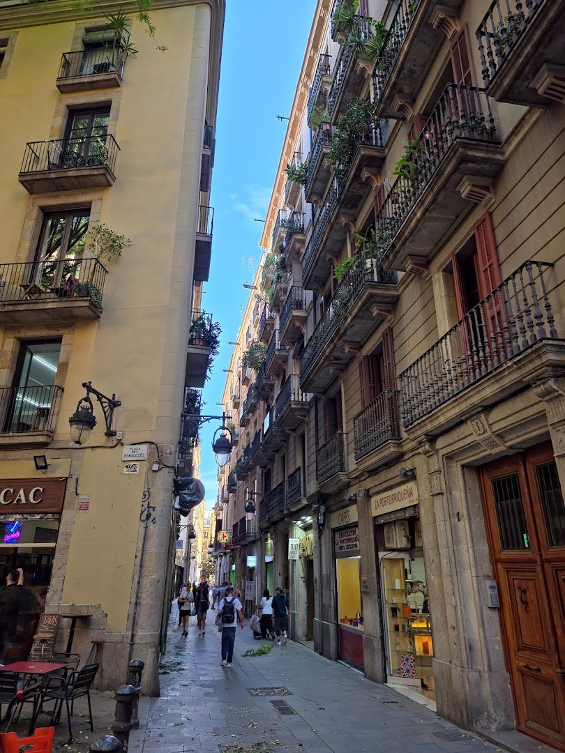 Cafés El Magnífico specialty coffee shop in Barcelona - photo 11