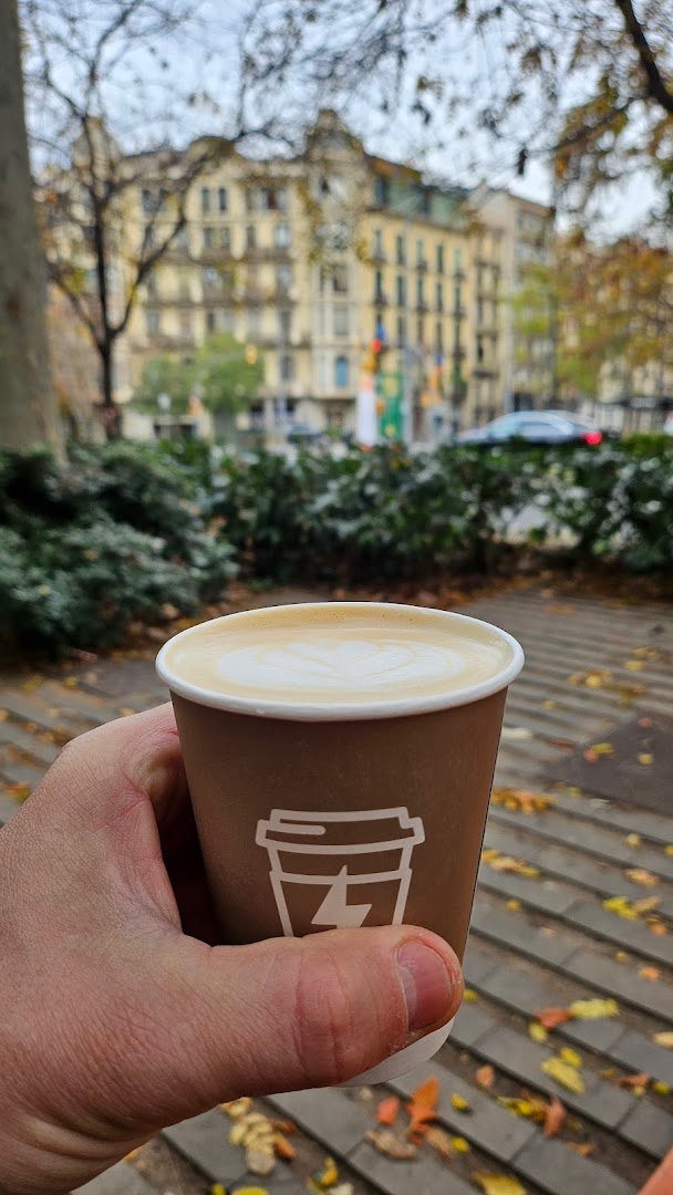 Syra Coffee - Passeig Sant Joan specialty coffee shop in Barcelona - photo 4