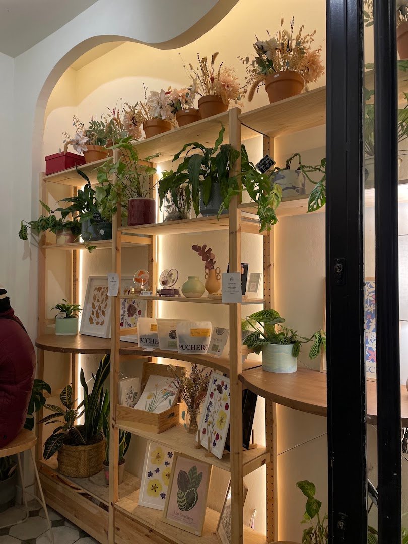 Botánica specialty coffee shop in Madrid - photo 4