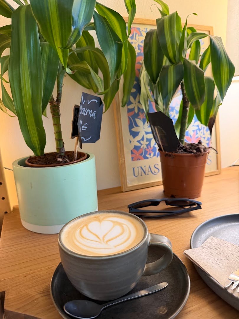 Botánica specialty coffee shop in Madrid - photo 9