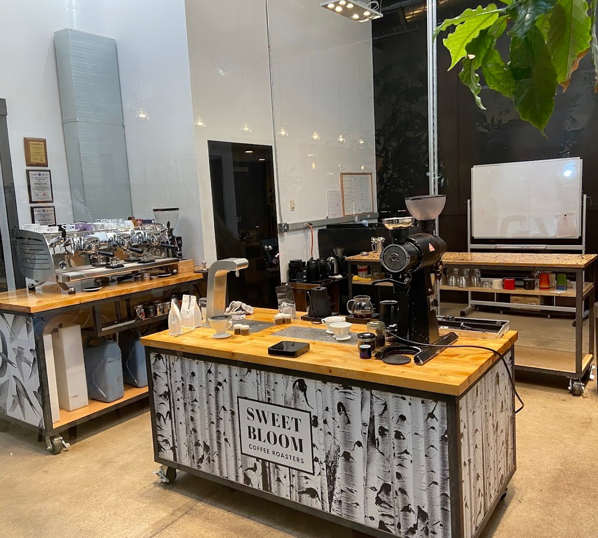 Sweet Bloom Coffee specialty coffee shop in Denver - photo 7