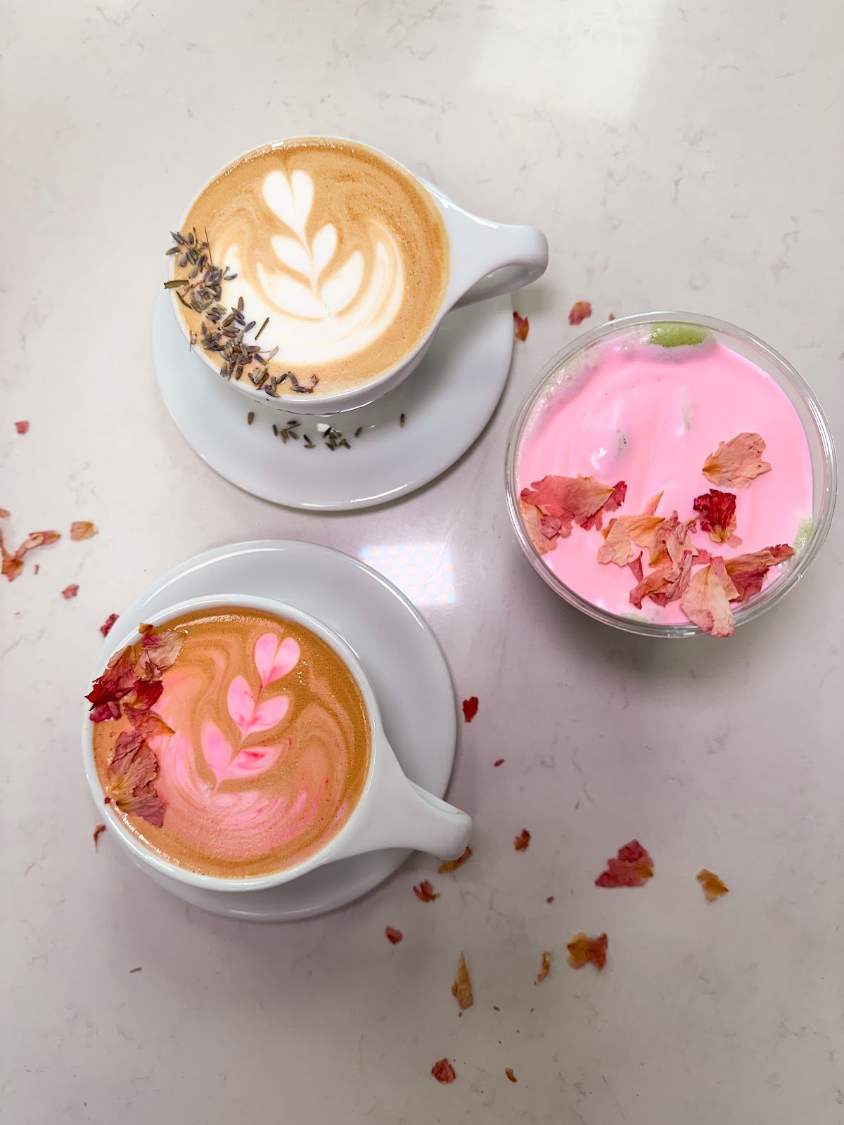 Seek First... Coffee Shop specialty coffee shop in Orlando - photo 3