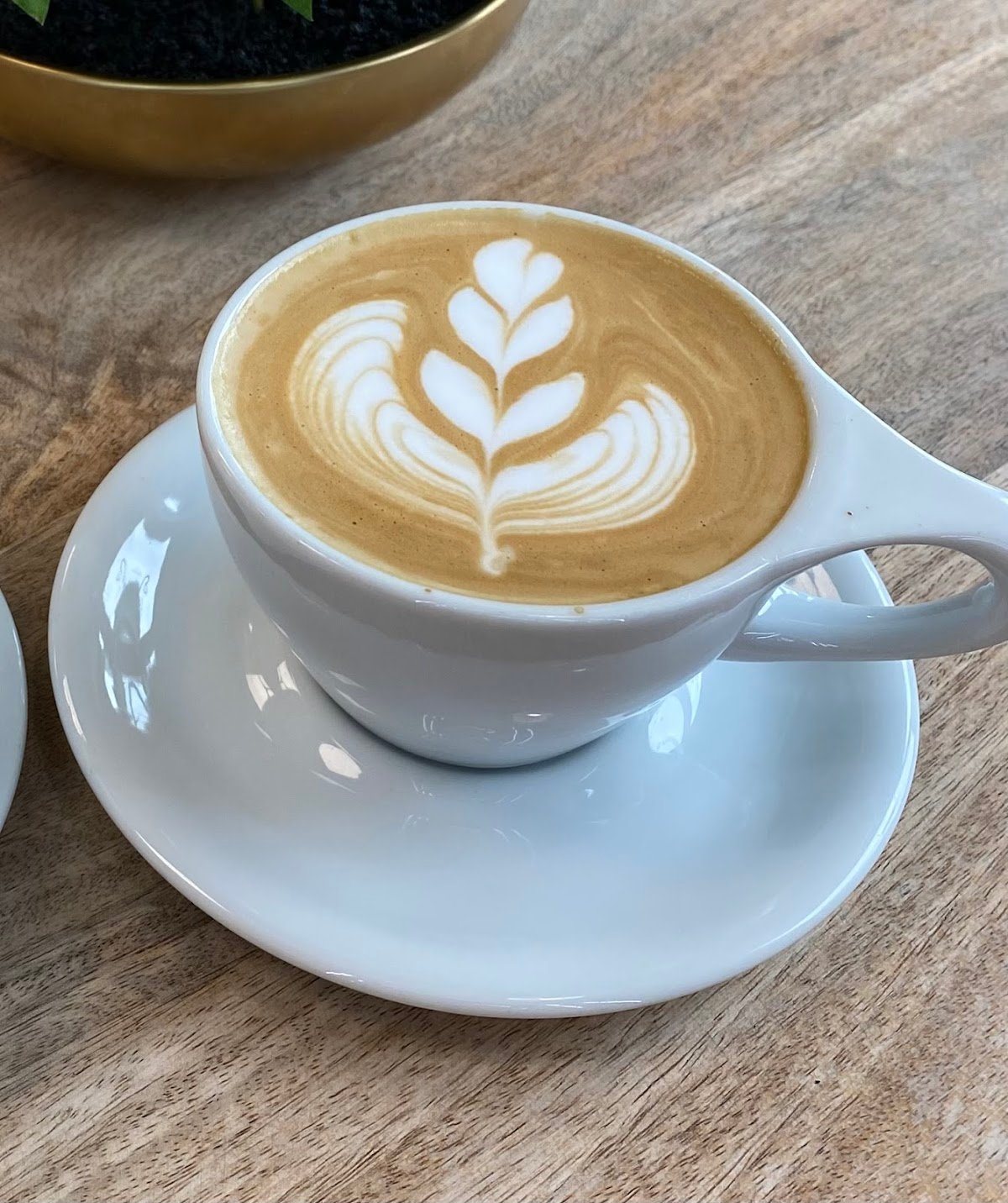 Seek First... Coffee Shop specialty coffee shop in Orlando - photo 4