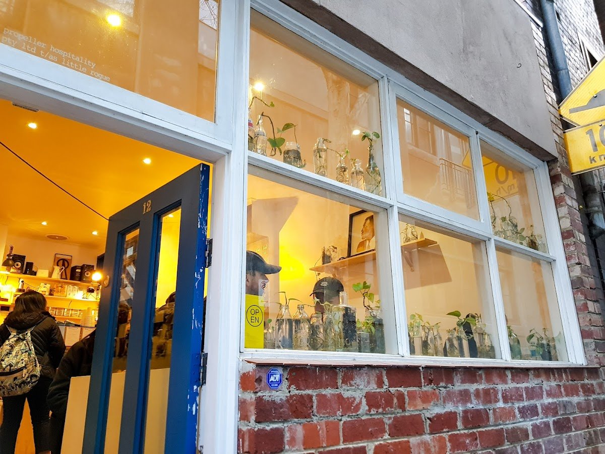 Little Rogue. specialty coffee shop in Melbourne - photo 2