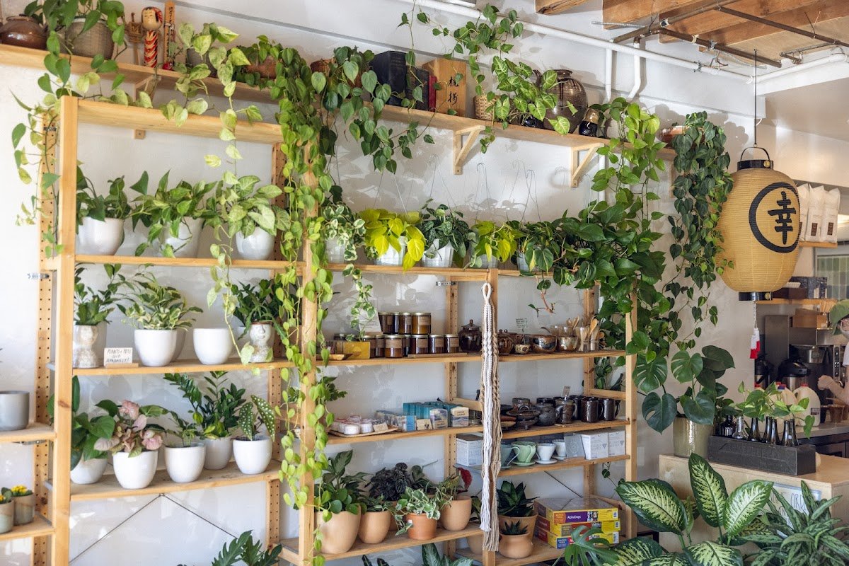 SACHI.LA specialty coffee shop in Los Angeles - photo 3