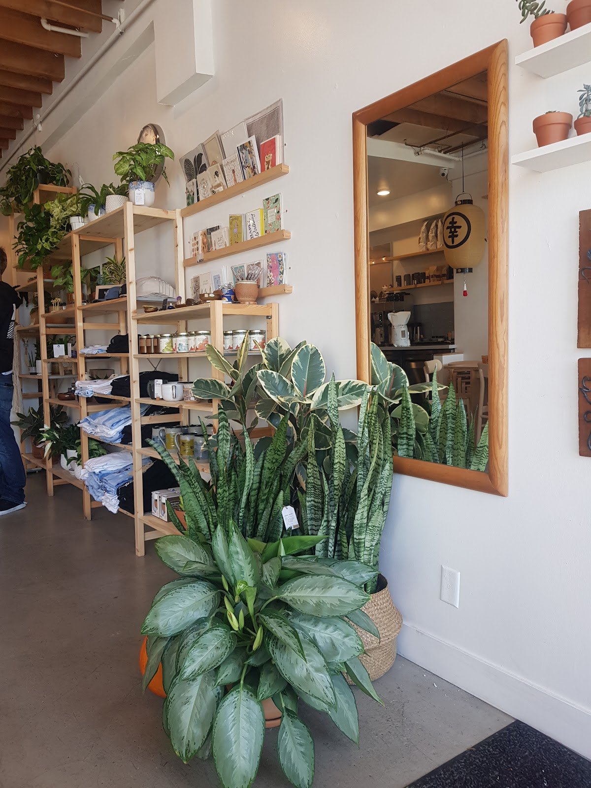 SACHI.LA specialty coffee shop in Los Angeles - photo 4