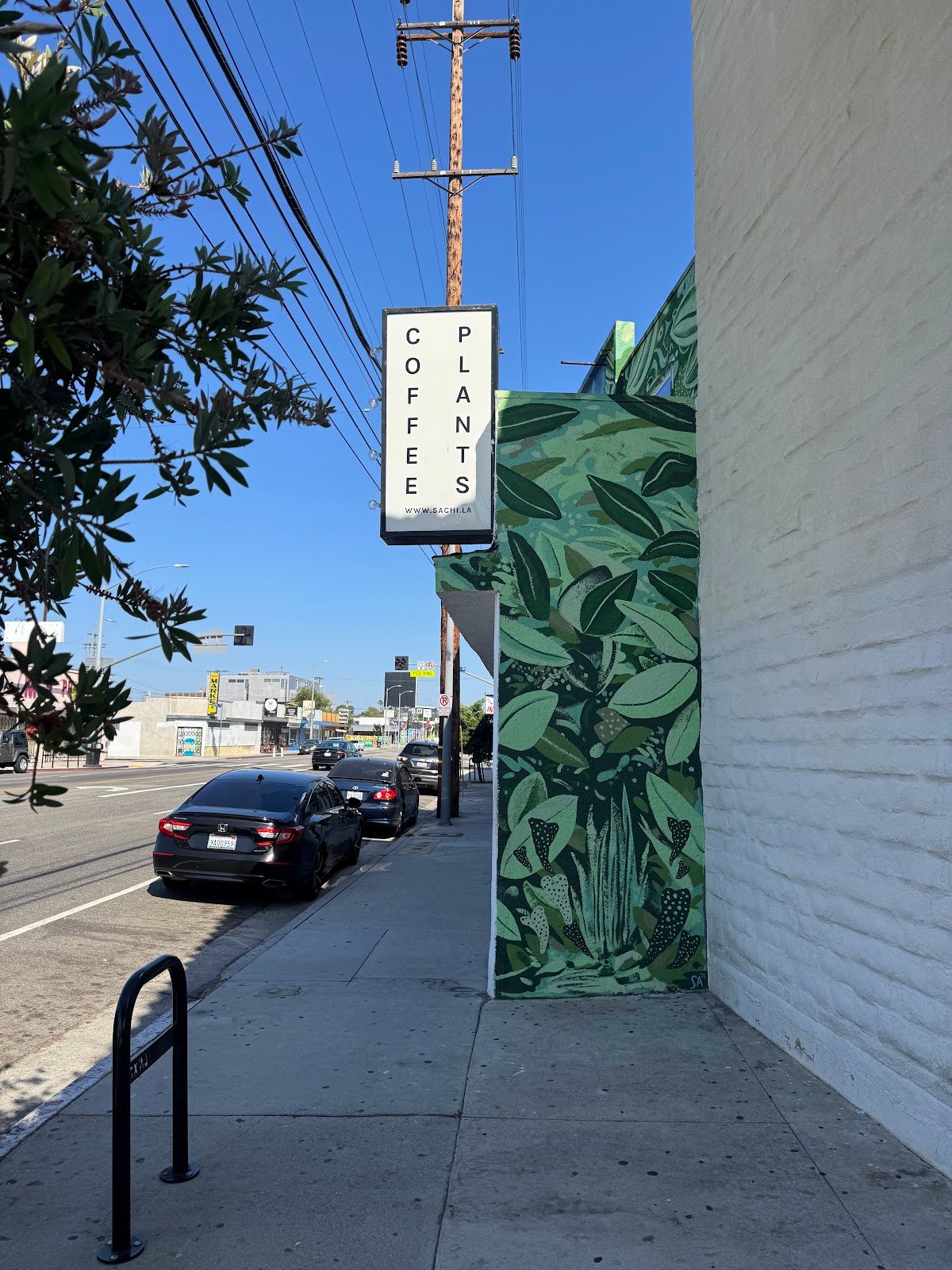 SACHI.LA specialty coffee shop in Los Angeles - photo 5