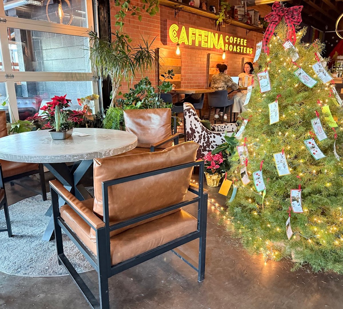 Caffeina Roasting Company specialty coffee shop in Boise - photo 7