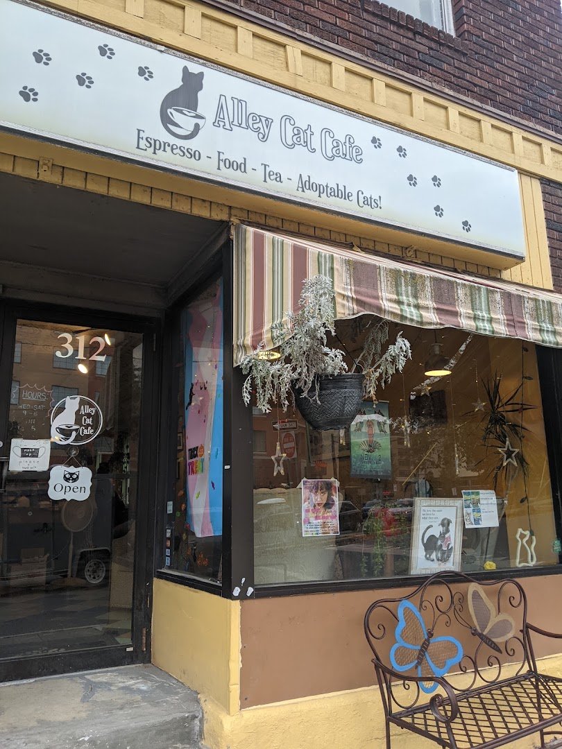 Storefront of Alley Cat Cafe, specialty coffee shop in Ithaca
