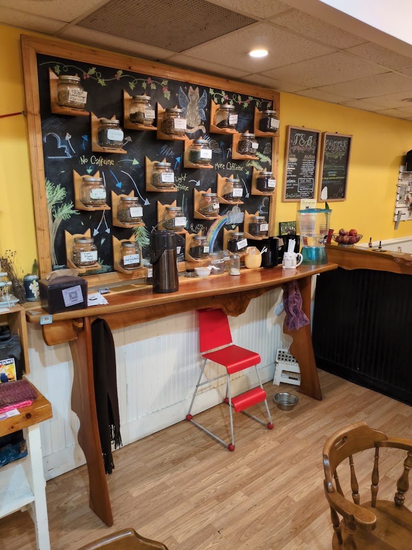 Interior of Alley Cat Cafe, specialty coffee shop in Ithaca