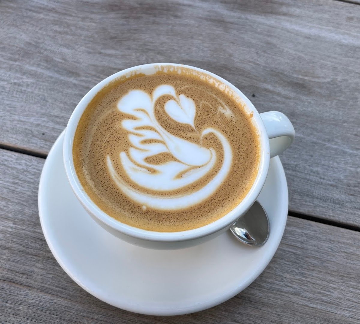 Pauline’s Park Rd Gardens specialty coffee shop in Cape Town - photo 4