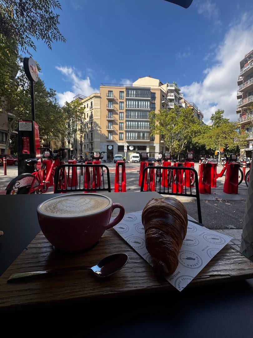 Blackbird Coffee Corner - Sagrada Familia specialty coffee shop in Barcelona - photo 3