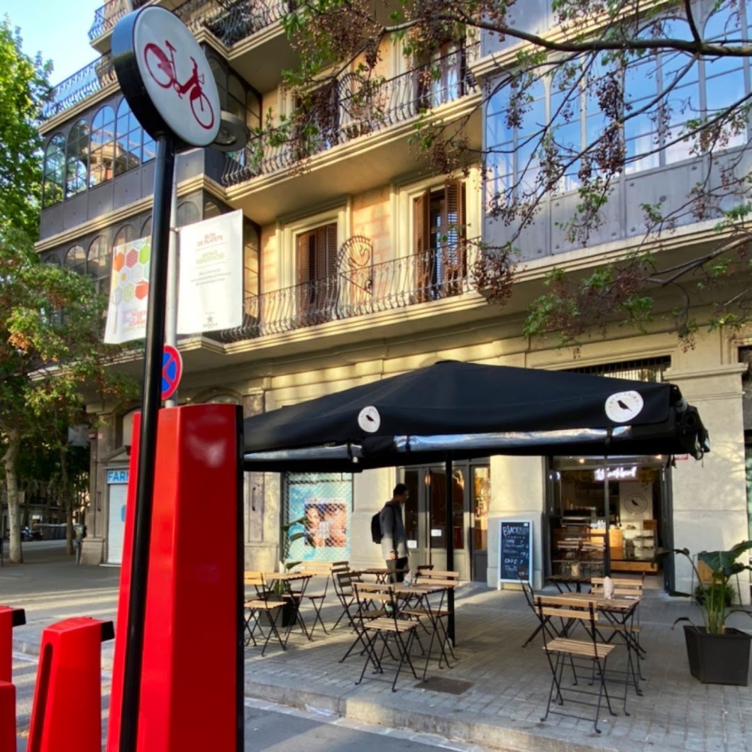 Blackbird Coffee Corner - Sagrada Familia specialty coffee shop in Barcelona - photo 6