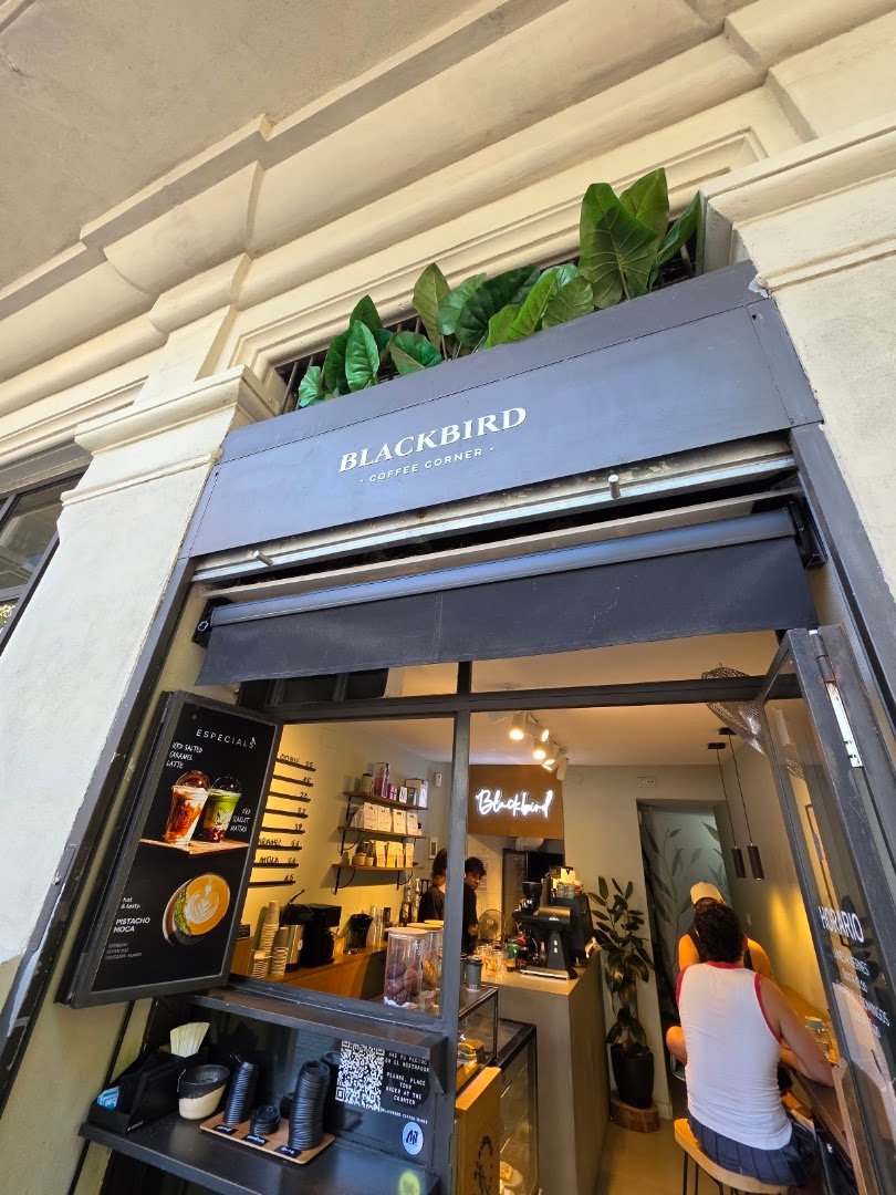 Blackbird Coffee Corner - Sagrada Familia specialty coffee shop in Barcelona - photo 7