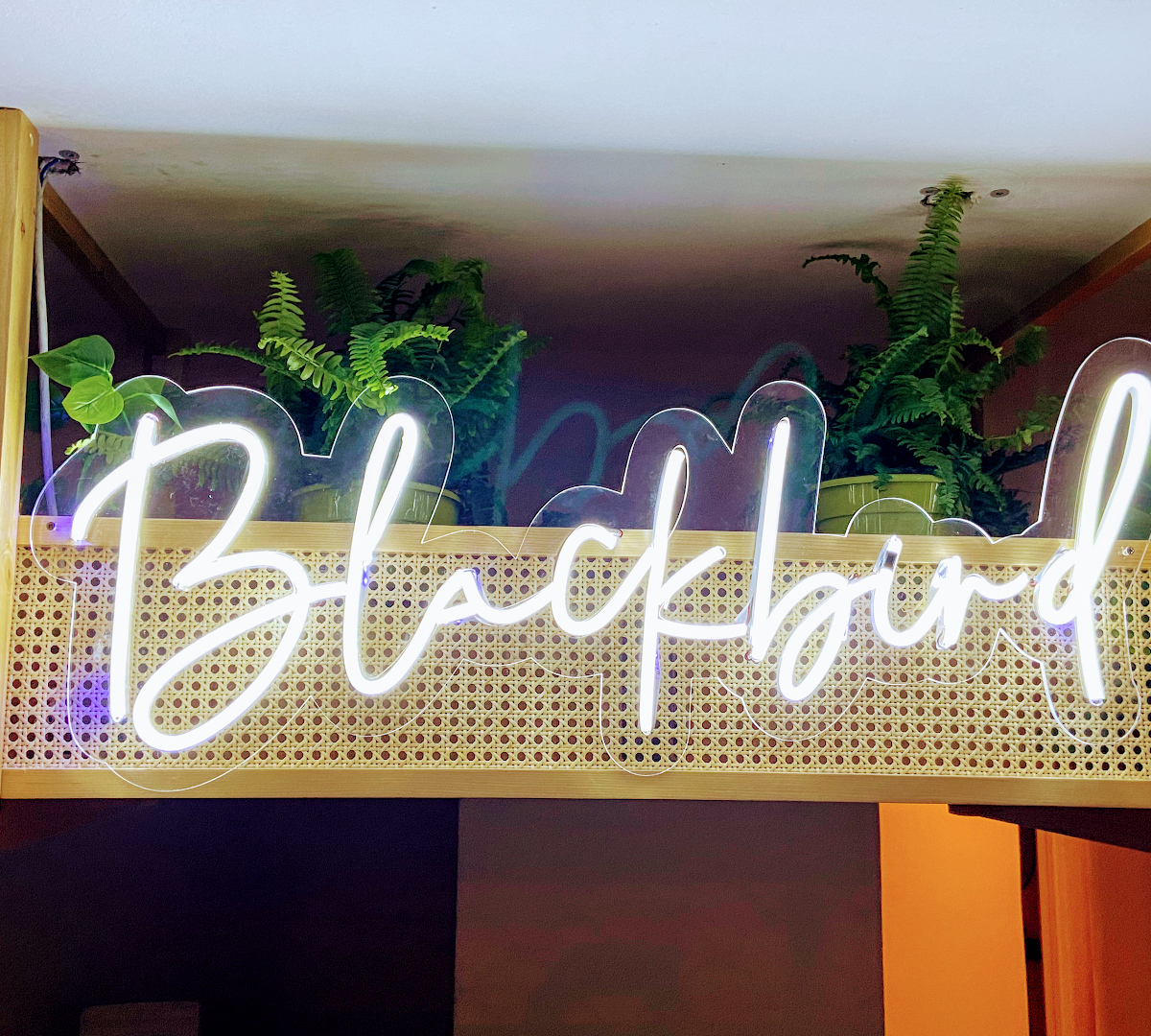 Blackbird Coffee Corner - Sagrada Familia specialty coffee shop in Barcelona - photo 8