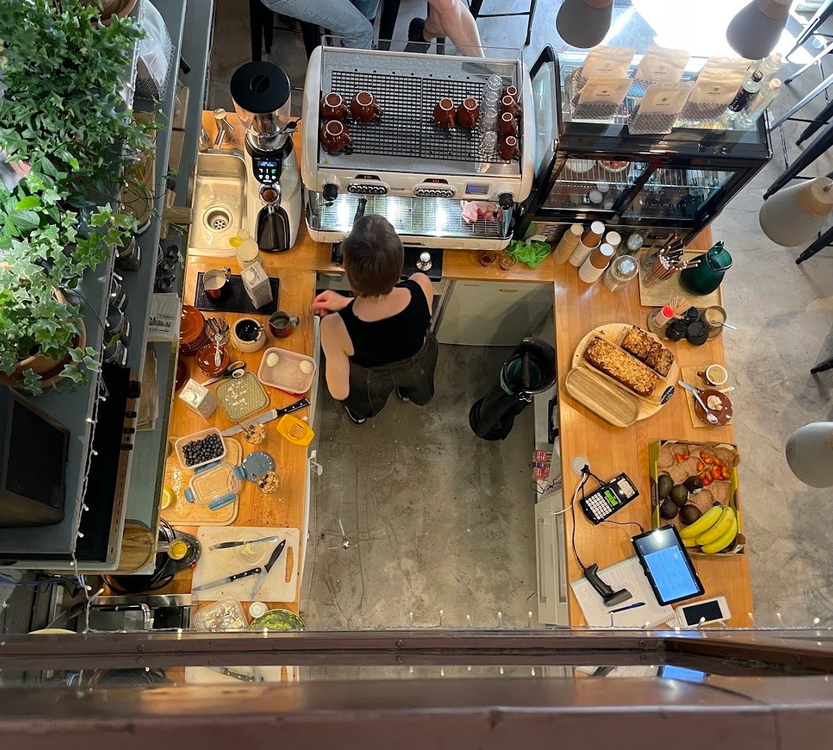 The Goat Herder specialty coffee shop in Budapest - photo 3