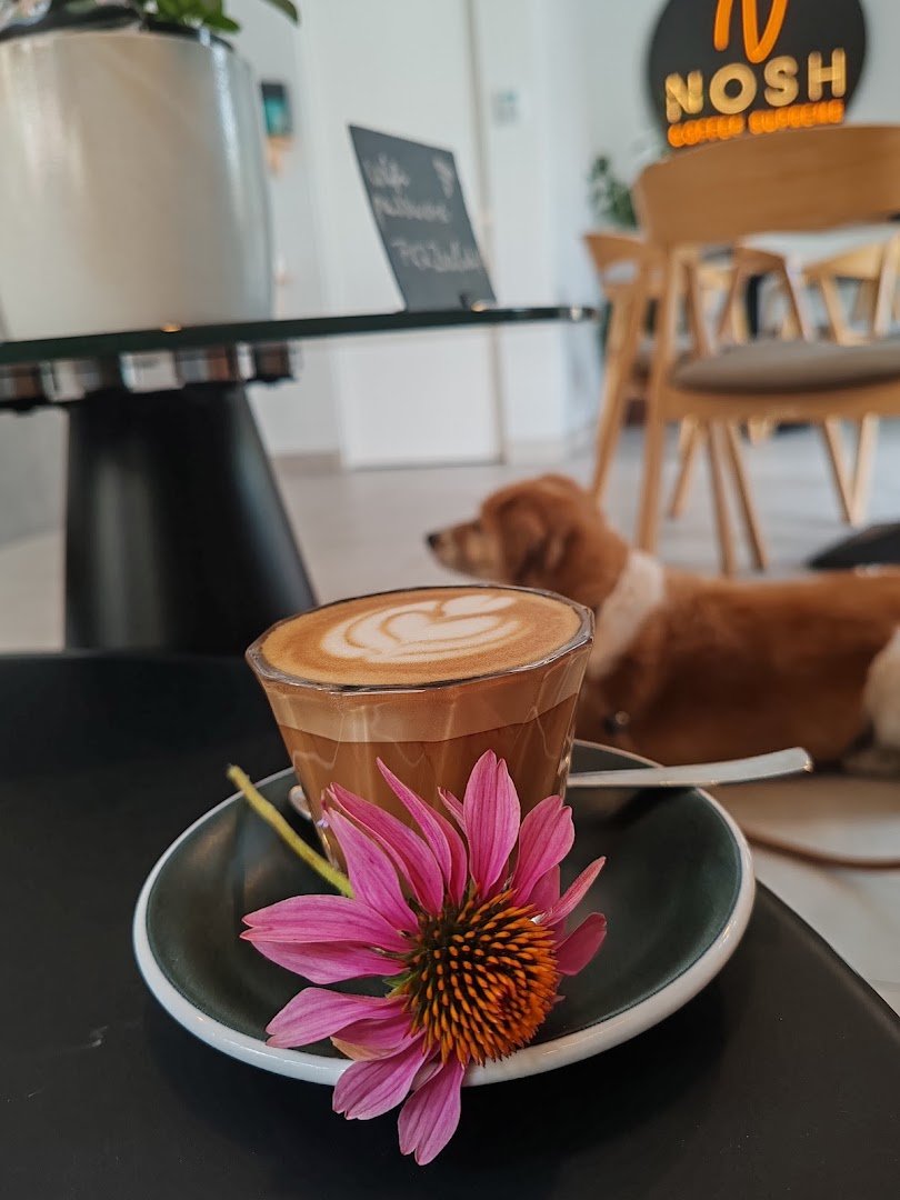 Nosh - Supreme specialty coffee shop in Budapest - photo 5