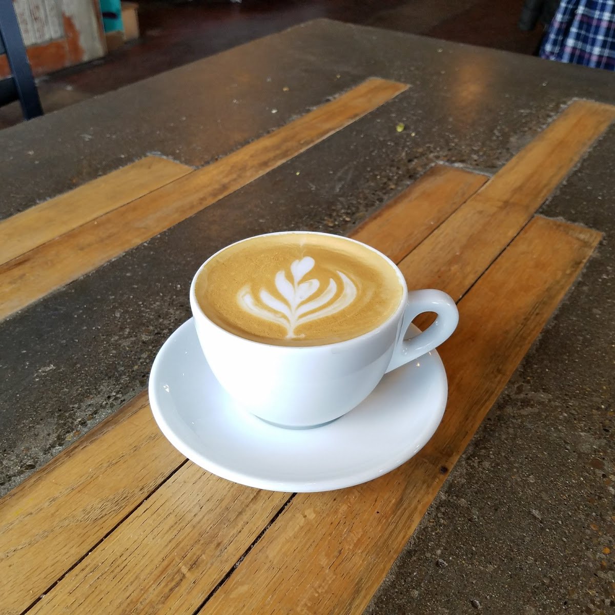 Cathedral Coffee specialty coffee shop in Portland - photo 13