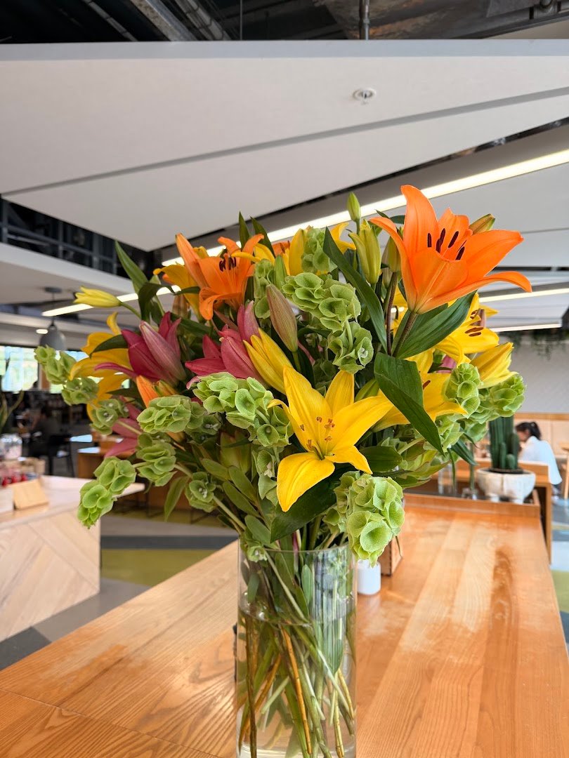 Interior of Common Ground Cafe, specialty coffee shop in Wellington