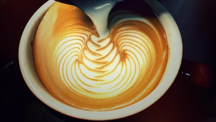 Specialty Batch Coffee HQ specialty coffee shop in Dubai - photo 2