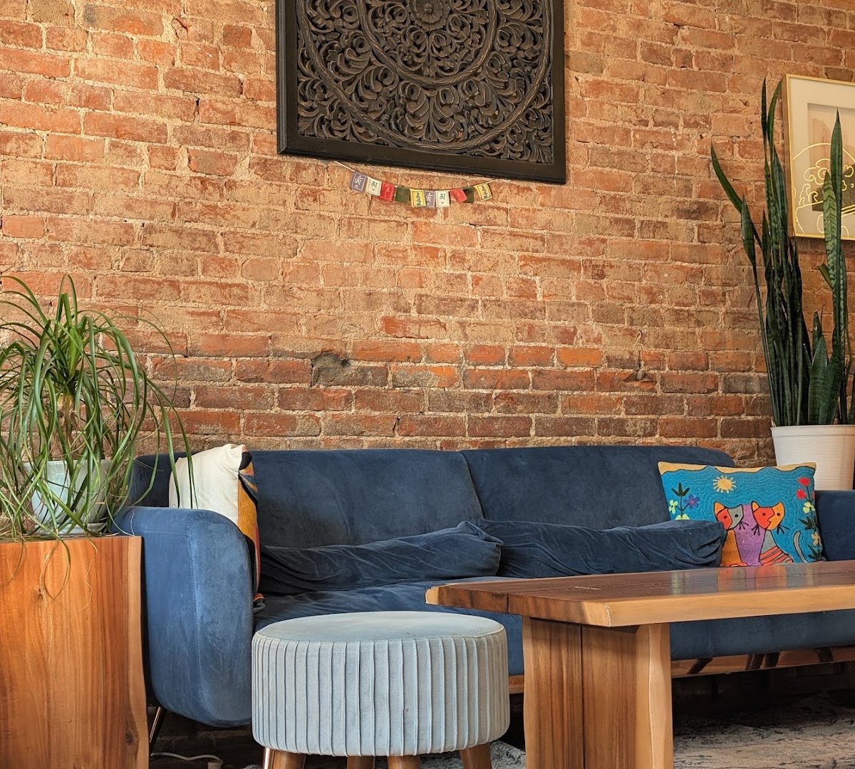 Interior of Phalcha Coffee, specialty coffee shop in Louisville