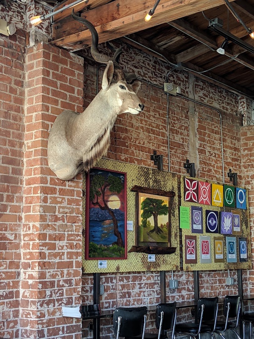 Cartel Roasting Co specialty coffee shop in Tucson - photo 10