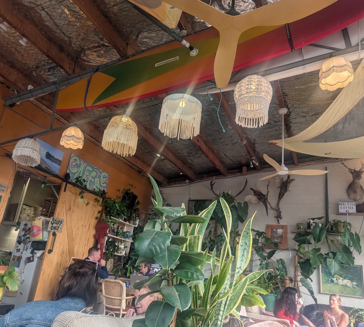 Interior of Drifter Coffee, specialty coffee shop in Auckland