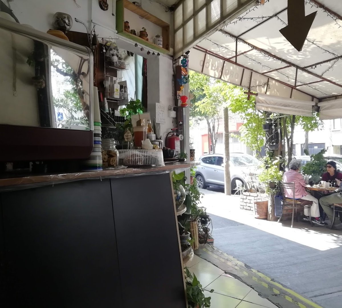 Interior of Kfe Maya Vinic, specialty coffee shop in Mexico City