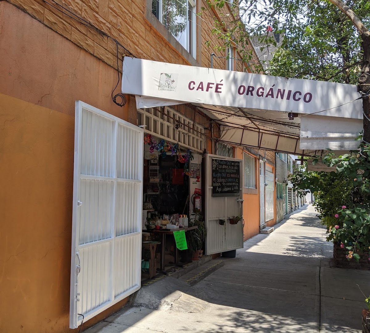 Storefront of Kfe Maya Vinic, specialty coffee shop in Mexico City