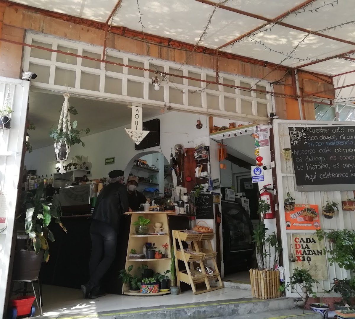 Interior of Kfe Maya Vinic, specialty coffee shop in Mexico City