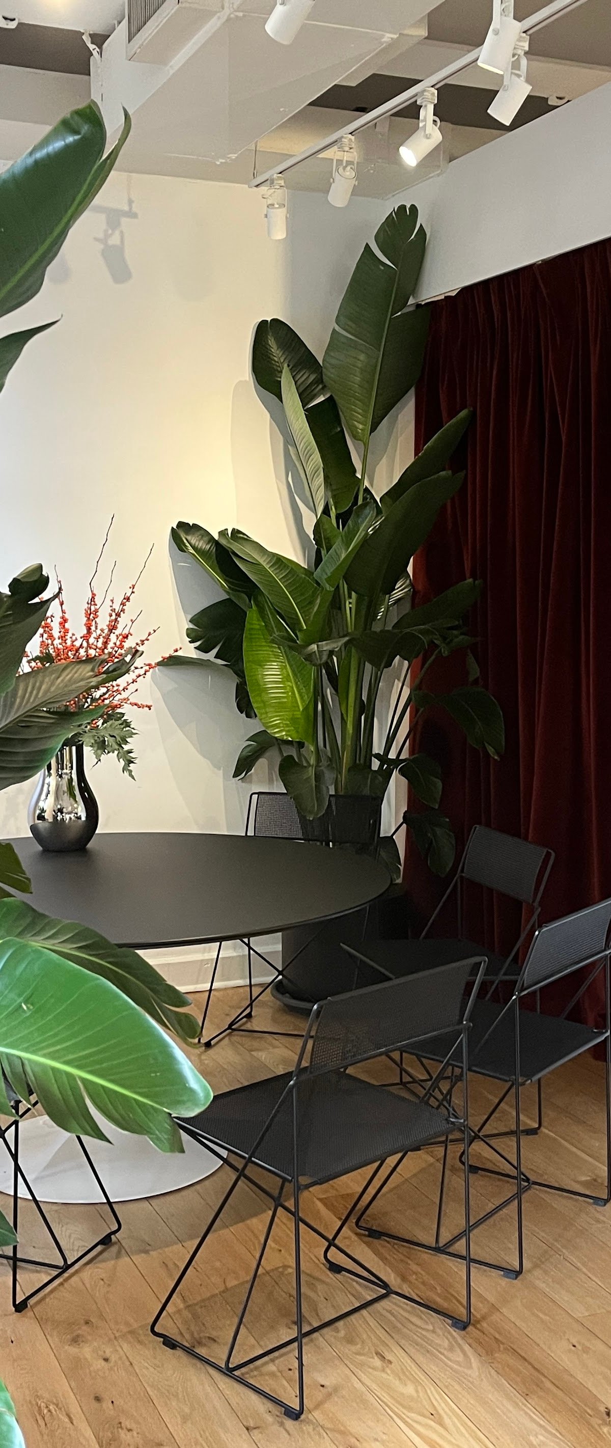 Toby's Estate specialty coffee shop in New York - photo 11