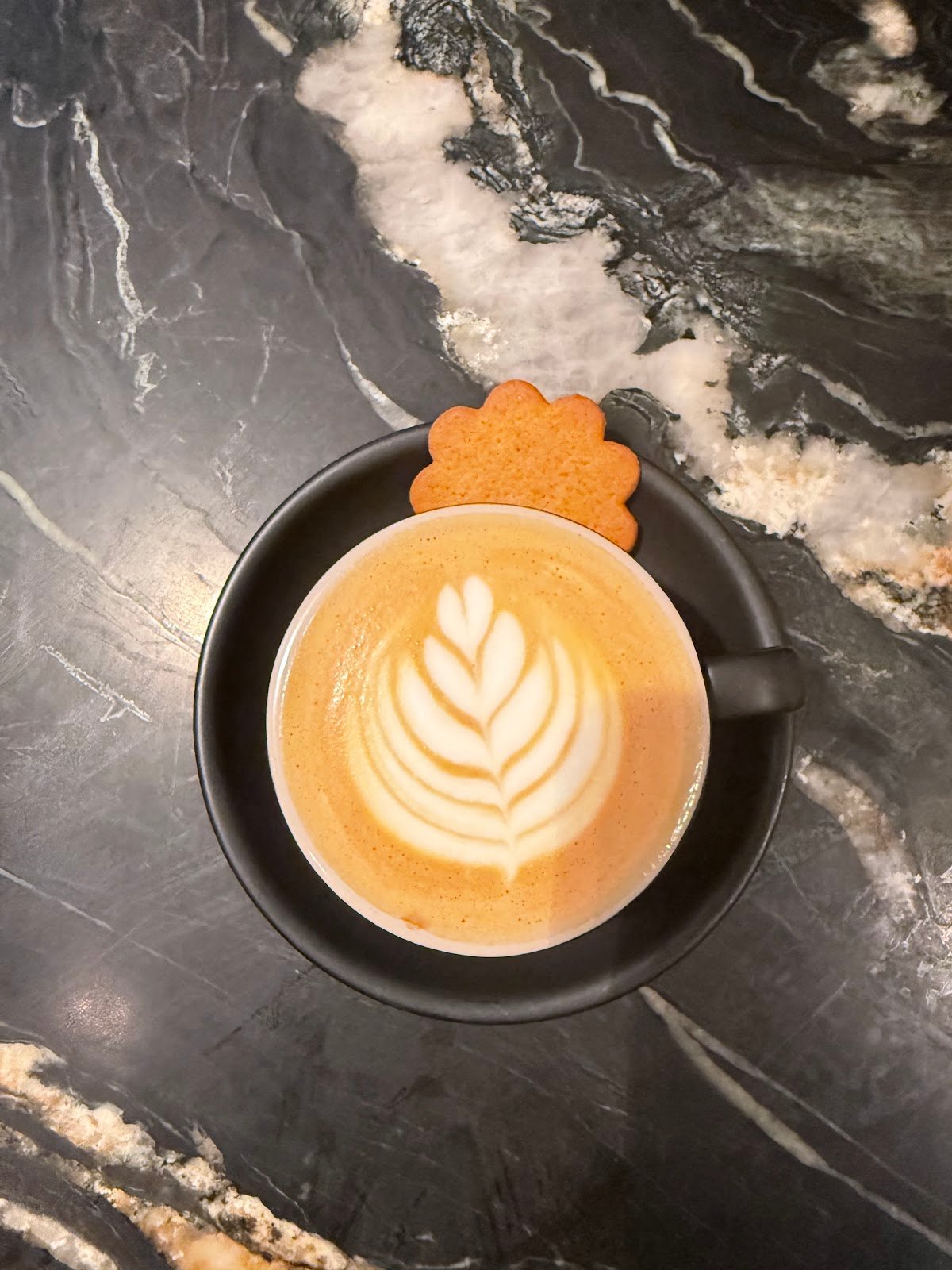 Toby's Estate specialty coffee shop in New York - photo 4