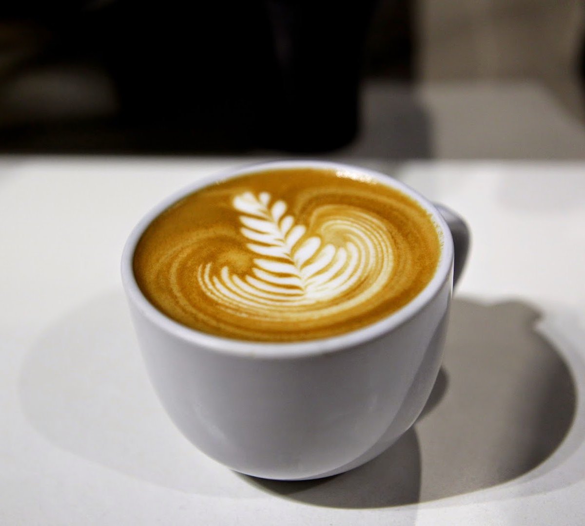 Coffee at Temple Coffee Roasters, specialty coffee shop in Sacramento