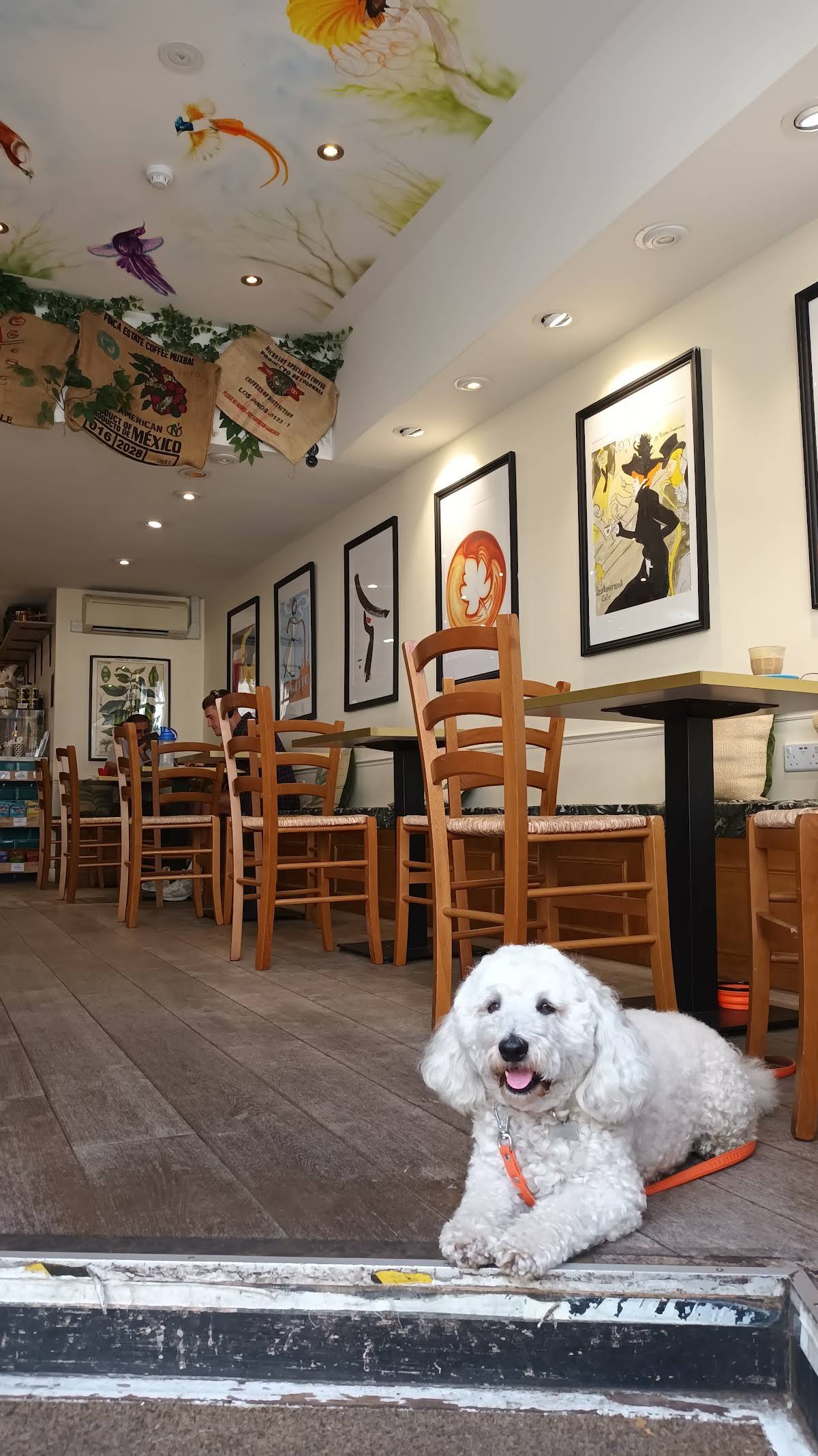 Naive specialty coffee shop in London - photo 11