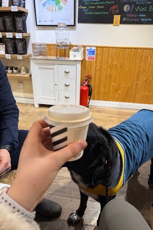 Naive specialty coffee shop in London - photo 9