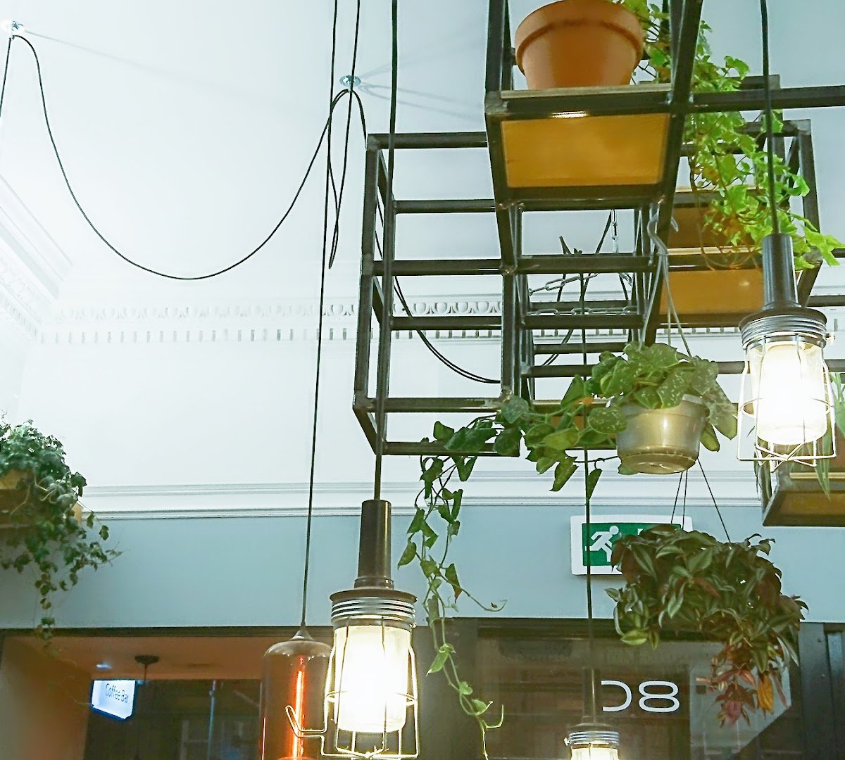 Interior of Machina Espresso, specialty coffee shop in Edinburgh