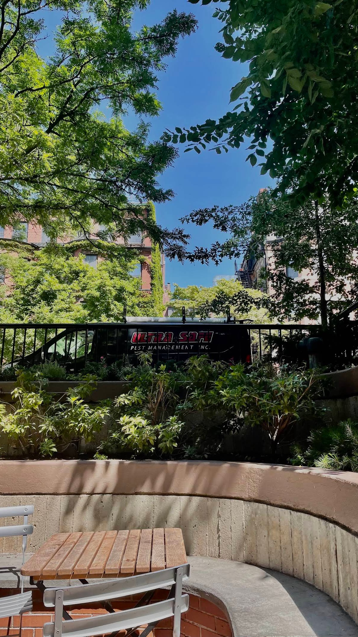 Pavement Coffeehouse - Newbury specialty coffee shop in Boston - photo 14