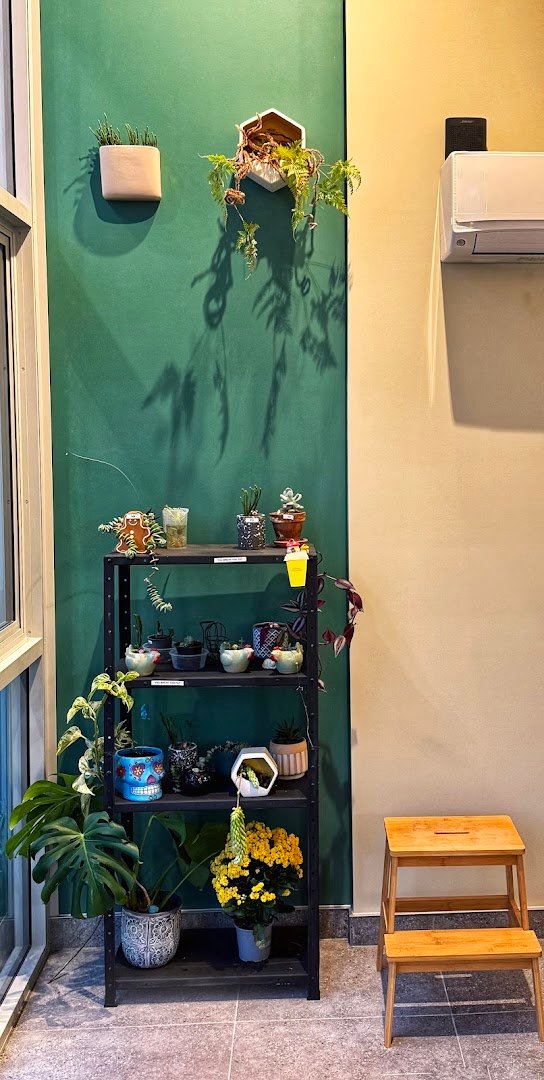 Interior of Refresh Espresso, specialty coffee shop in Wellington