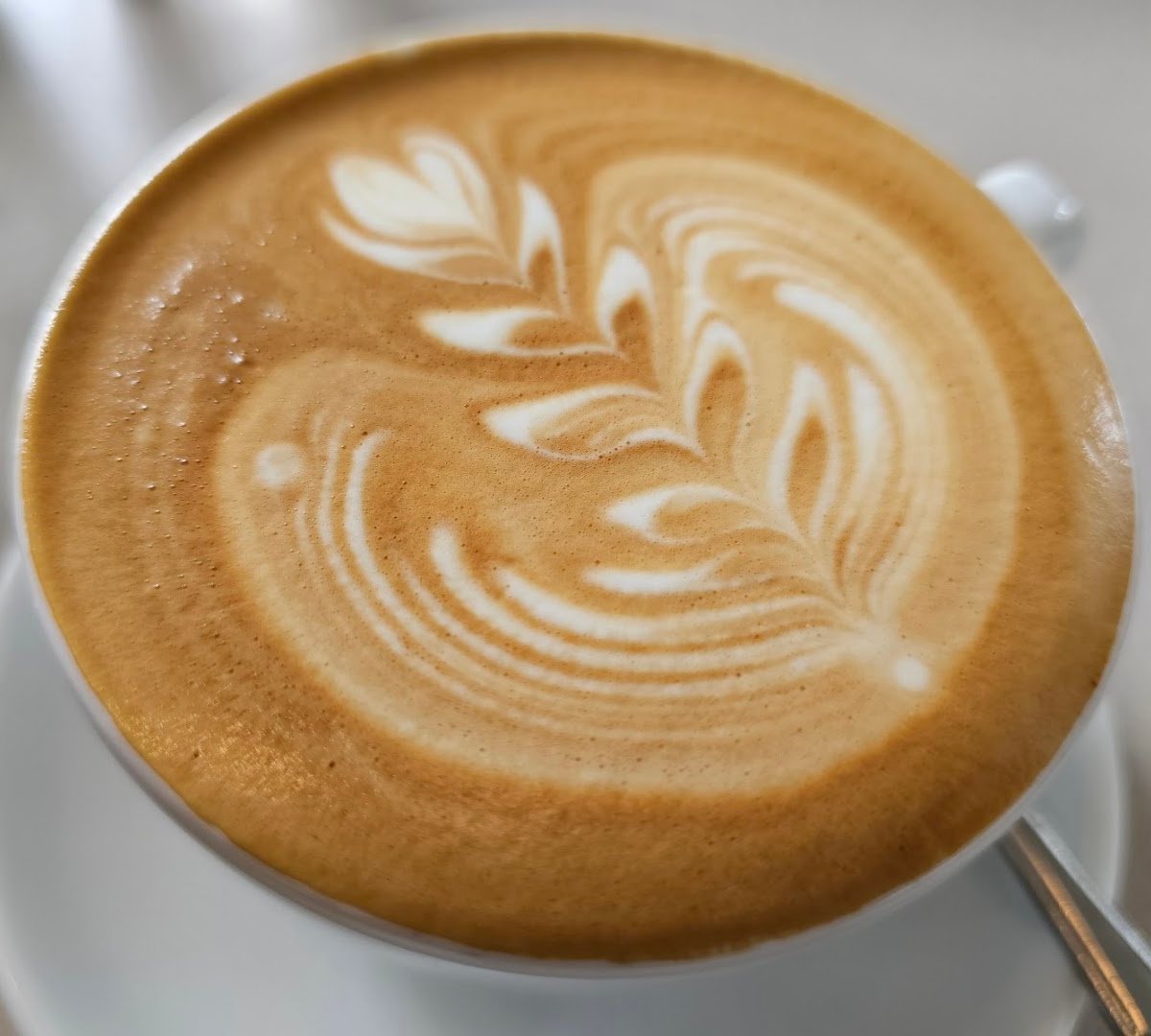 Coffee at Atlas Coffeehouse, specialty coffee shop in Singapore
