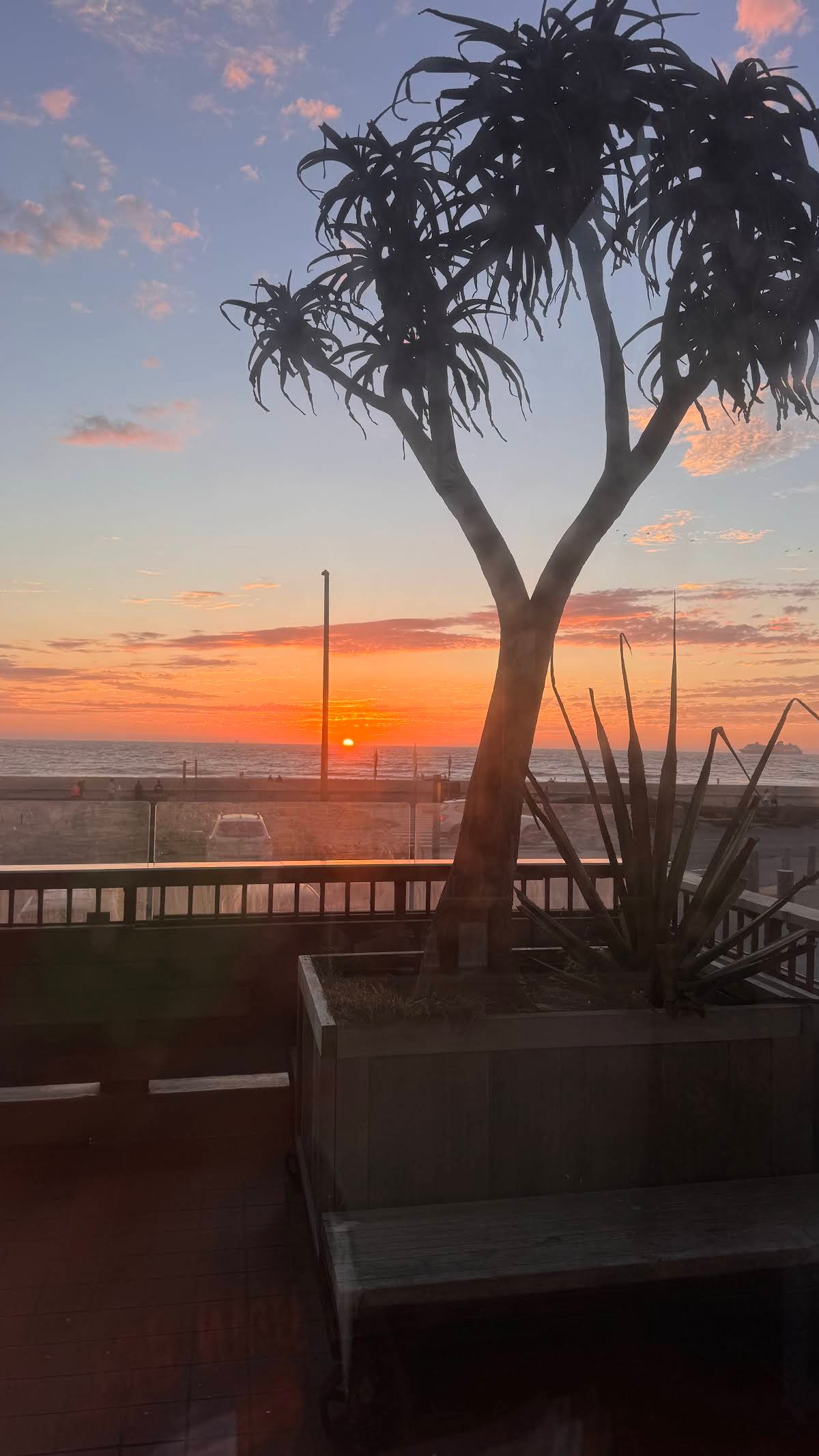 Andytown Coffee Roasters specialty coffee shop in San Francisco - photo 9