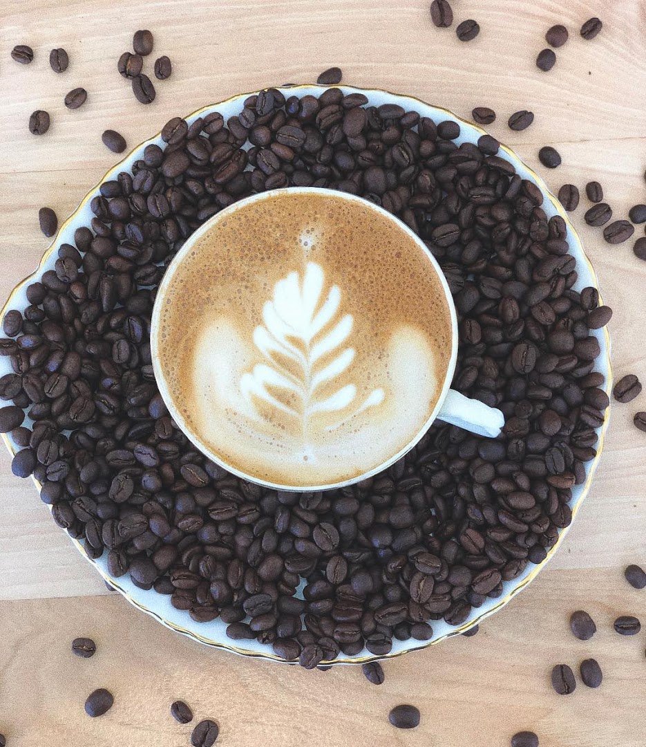 The Stockyard Coffeehouse specialty coffee shop in Chicago - photo 2