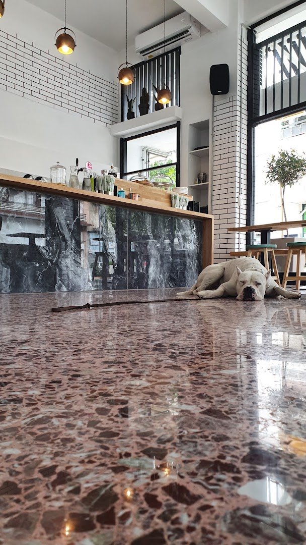 Interior of Omsom Coffee Roasters, specialty coffee shop in Athens